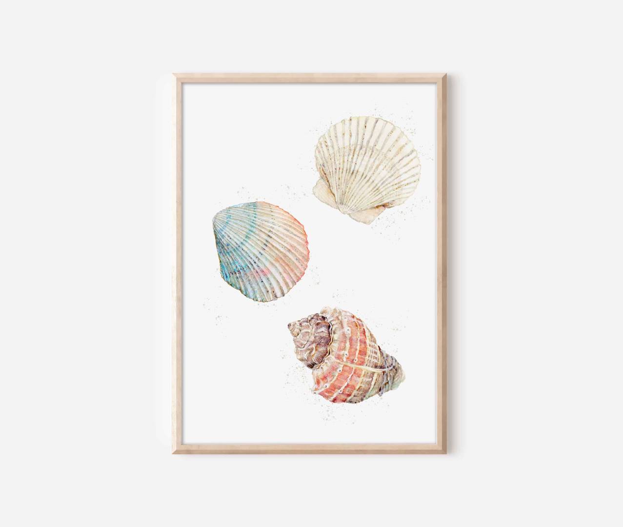 three seashells on a white background framed in a wooden frame