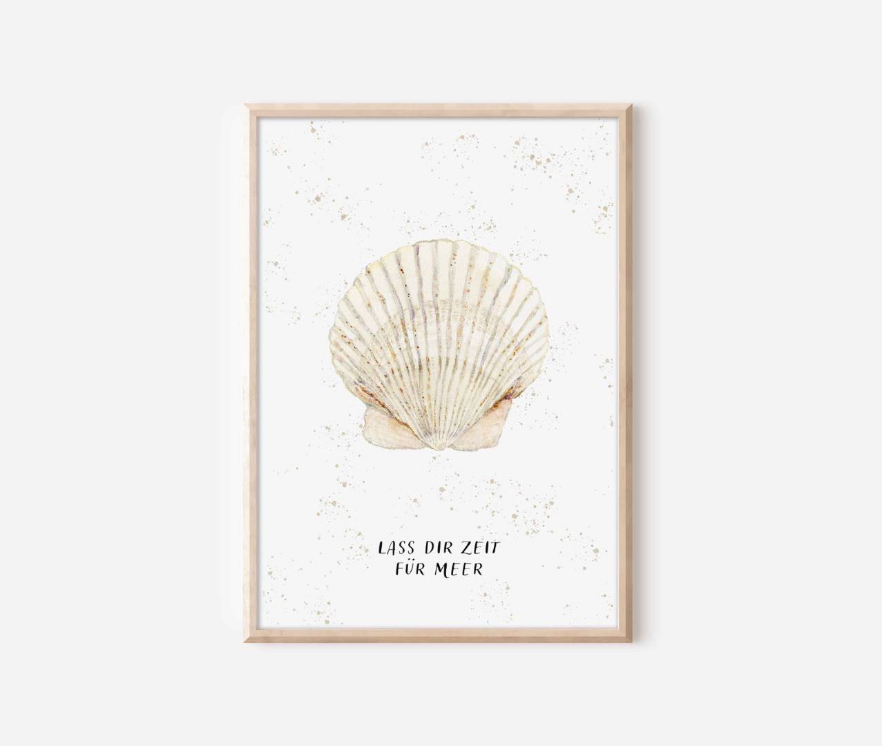 a framed print of a seashell on a white wall