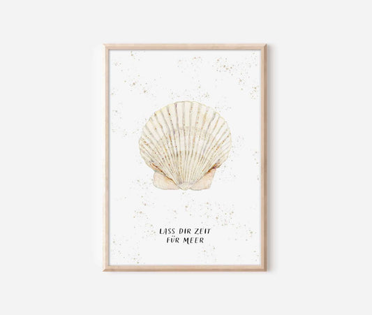 a framed print of a seashell on a white wall
