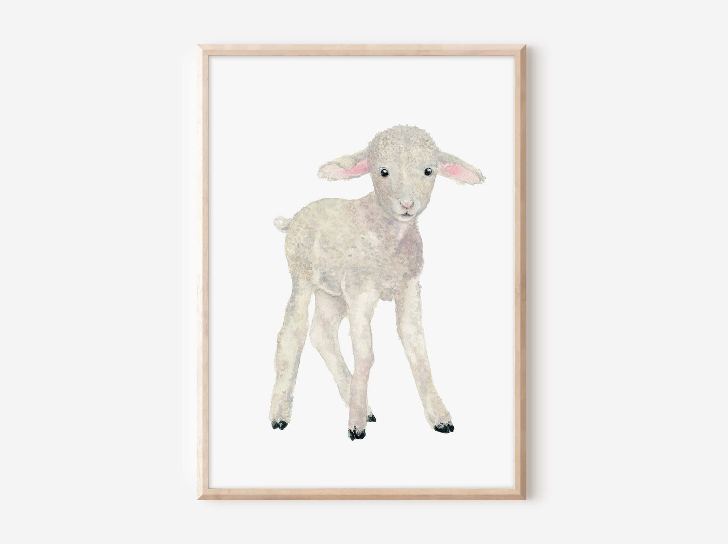 a white sheep with a pink ear standing in front of a white wall