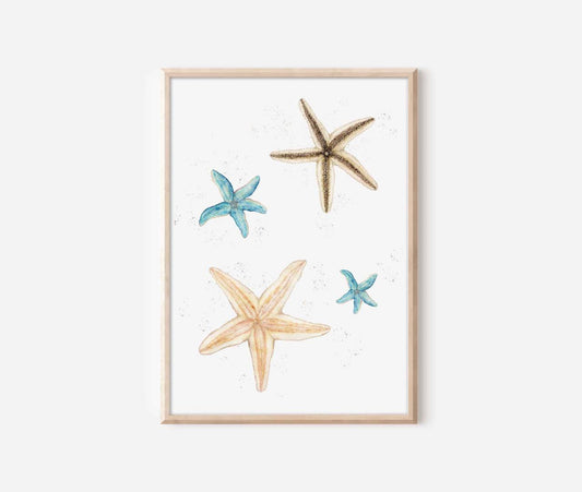 a framed picture of three starfishs on a white wall